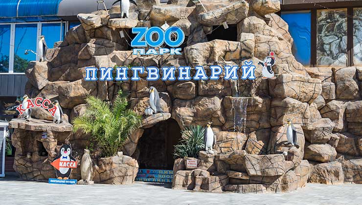 зоопарк лазаревское